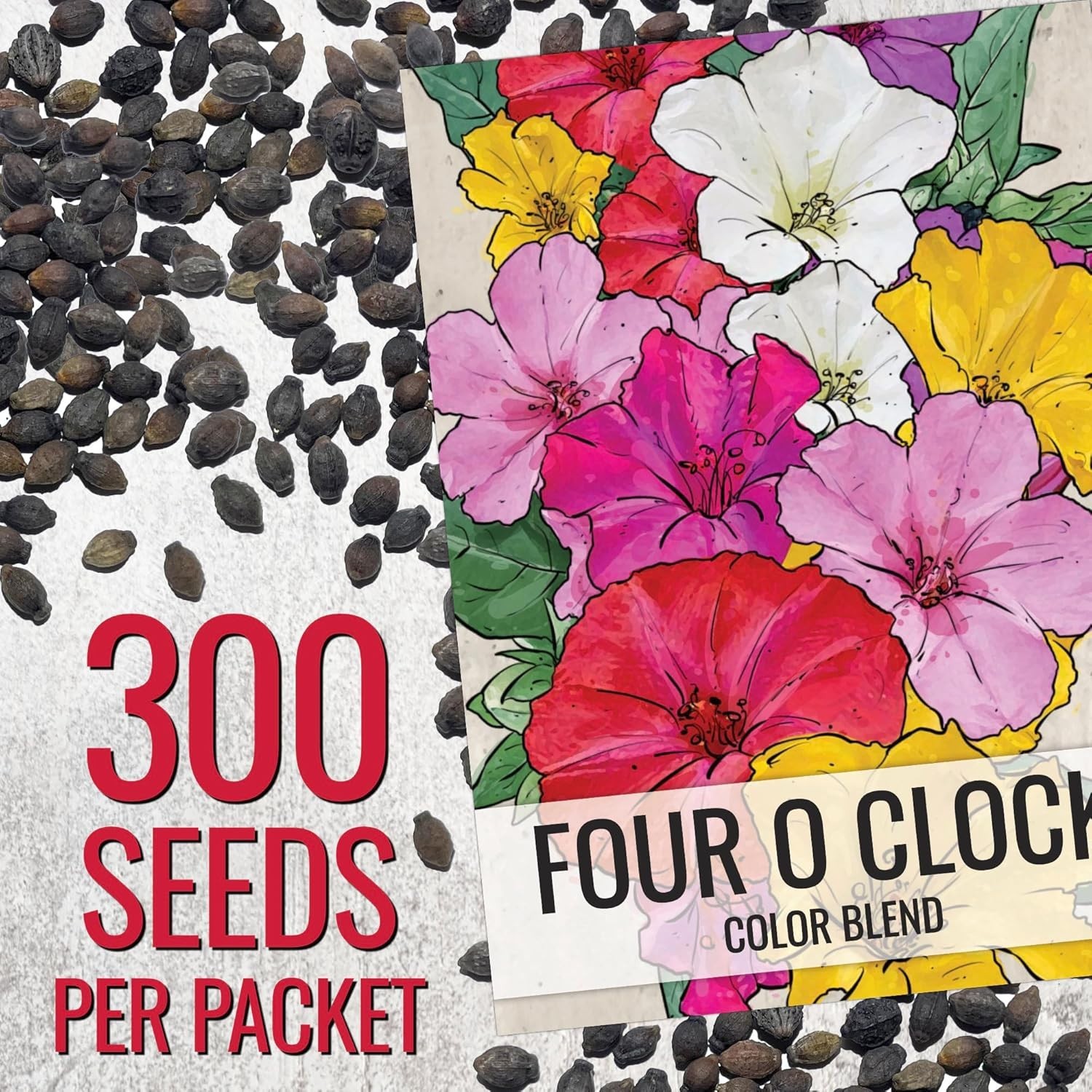 Bulk Four O’ Clock Seeds – Eco-Friendly Heirloom Blooms for Pollinator Gardens