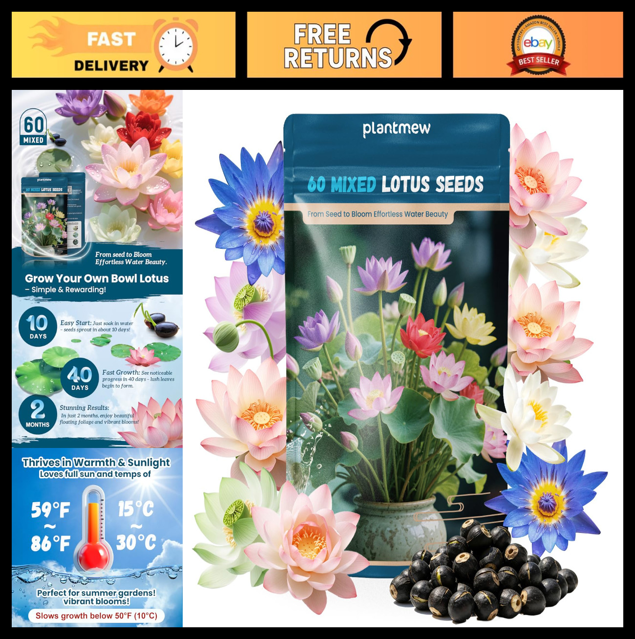 60 PCS Mixed Color Lotus Seeds for Planting in Water | Non-GMO Aquatic Plants fo