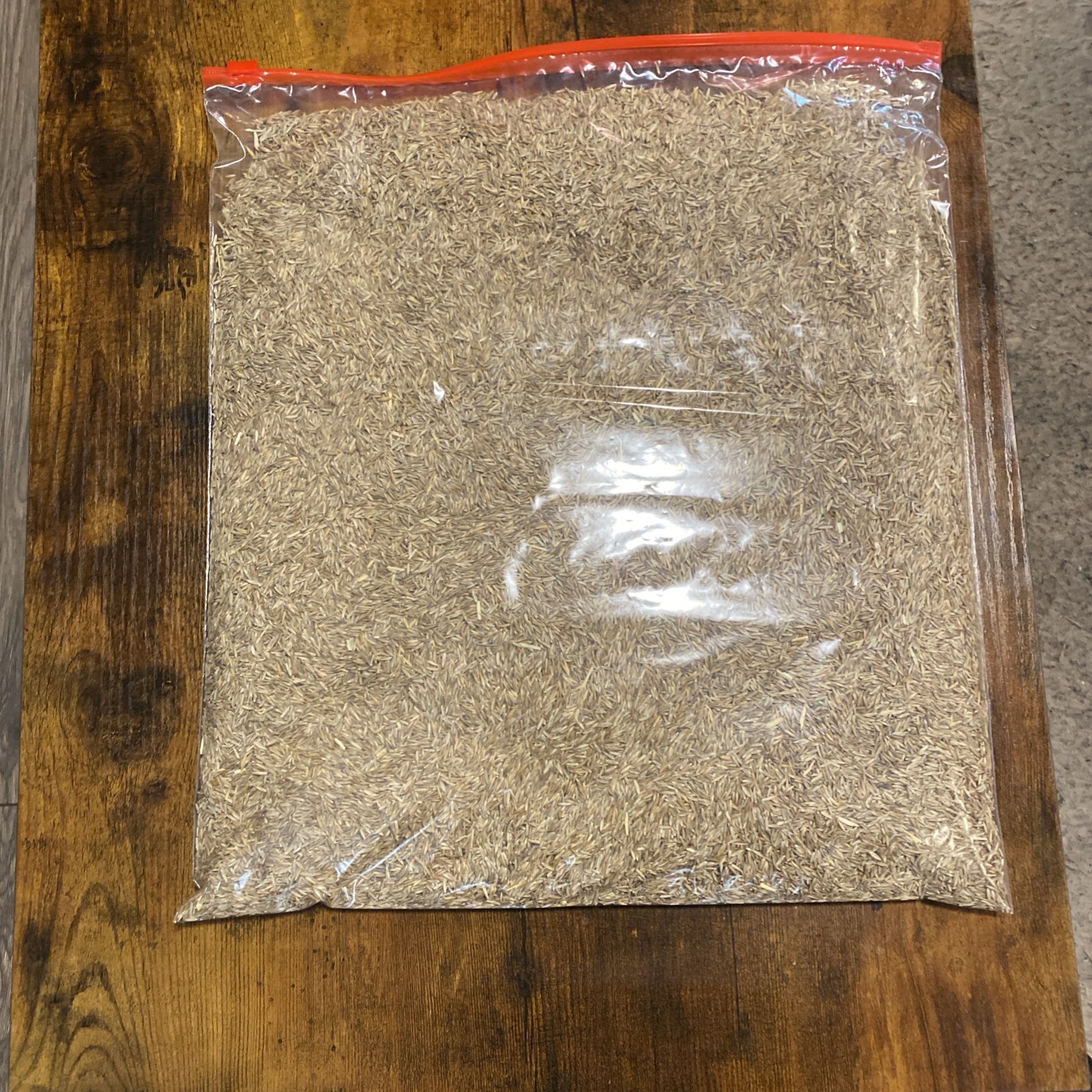 Titan Rx Turf Type Tall Fescue Grass seed – 5.0 Lb.