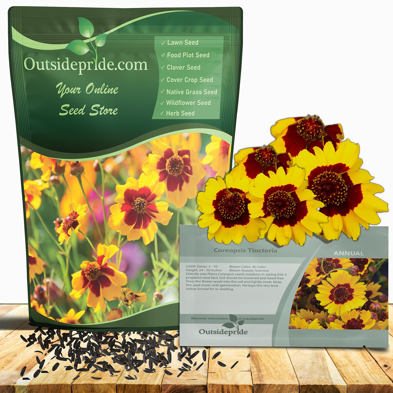 5 LBS Plains Coreopsis Drought Tolerant Xeriscape Wild Flower Seeds