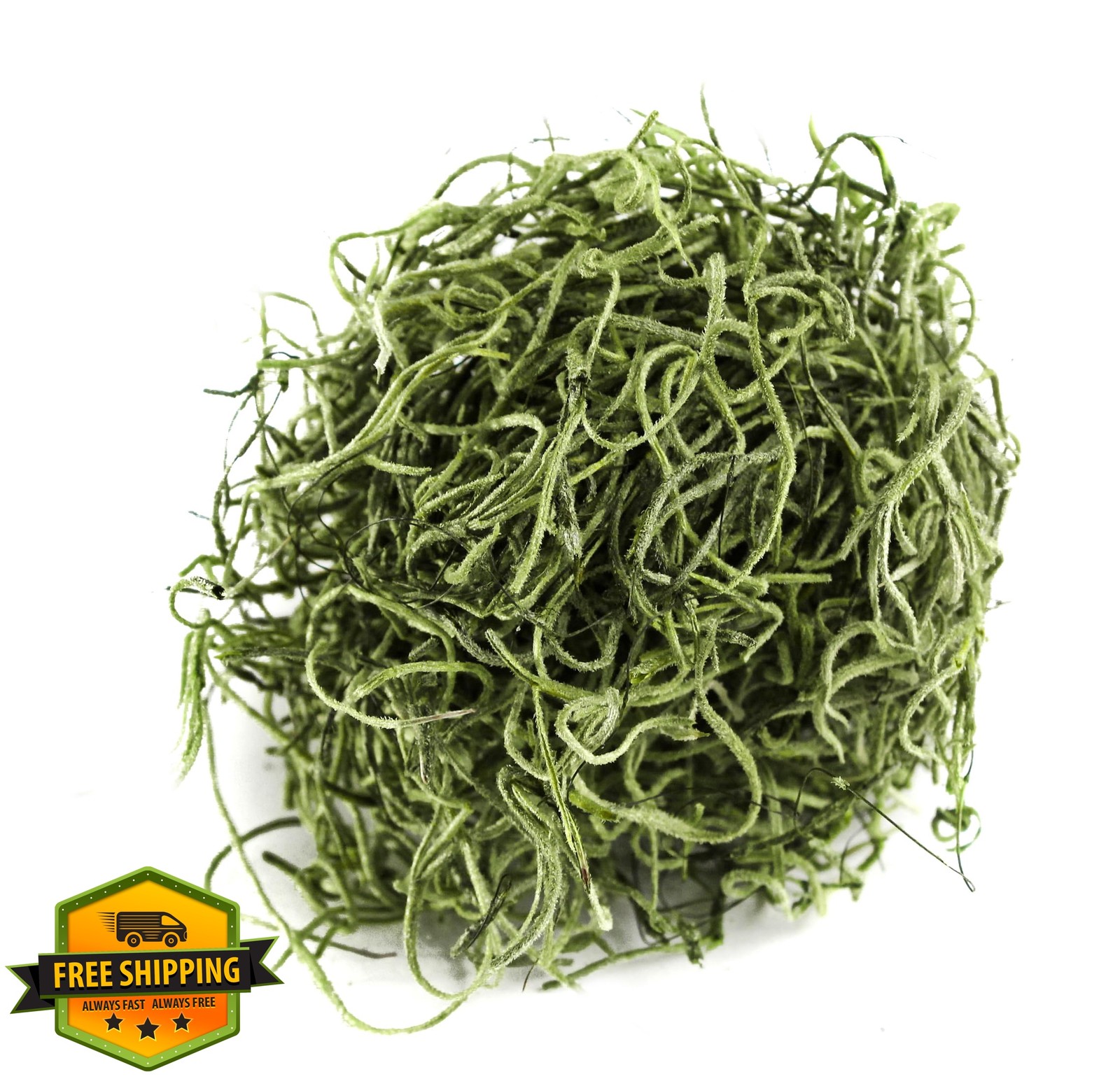 SuperMoss Preserved Spanish Moss Green 120 cu in