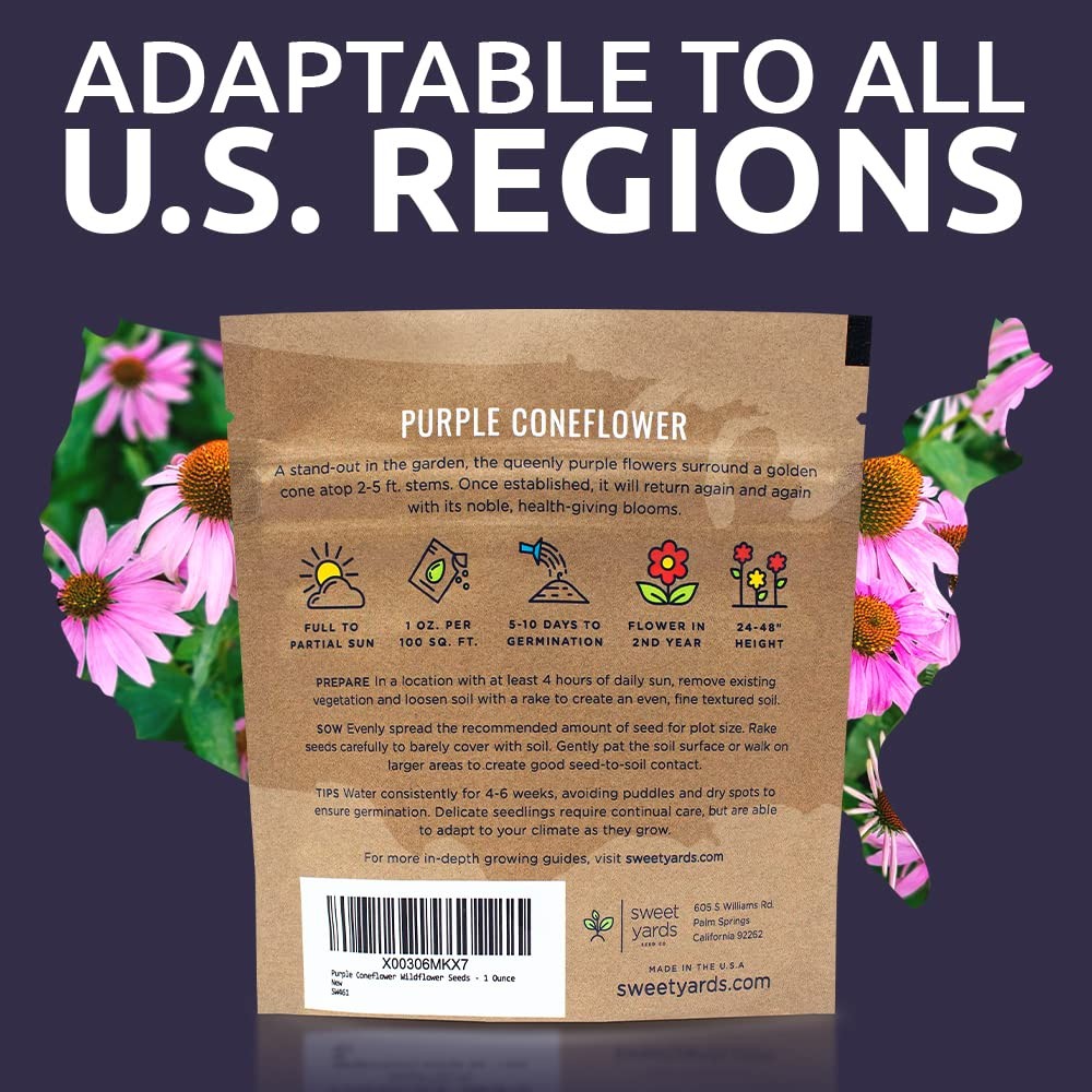 Purple Coneflower Seeds – Extra Large Packet – Over 1 Ounce Pouch,