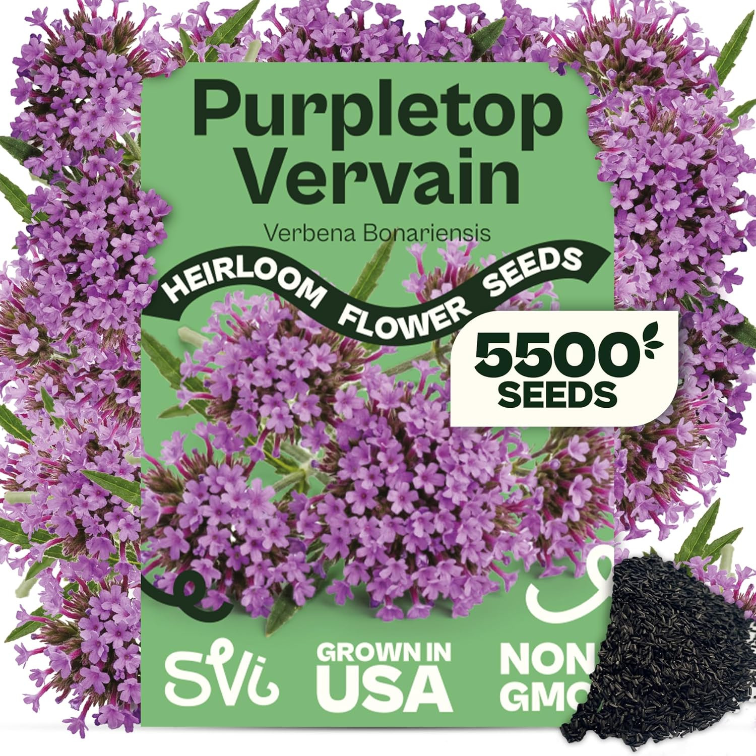 900 Queen Anne’S Lace Seeds for Planting, Bishop’S Flower Seed Packets (Ammi Maj