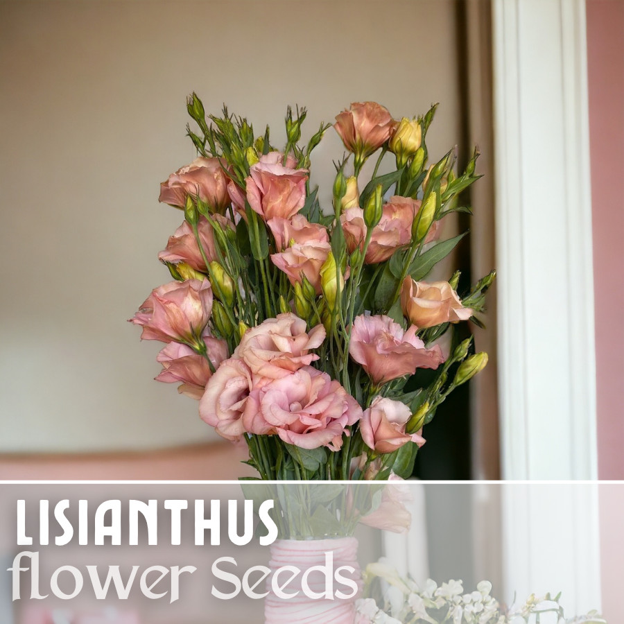 Lisianthus Seeds – 100 Seeds Garden Bloom Flower Seed Flowers Non Gmo Heirloom