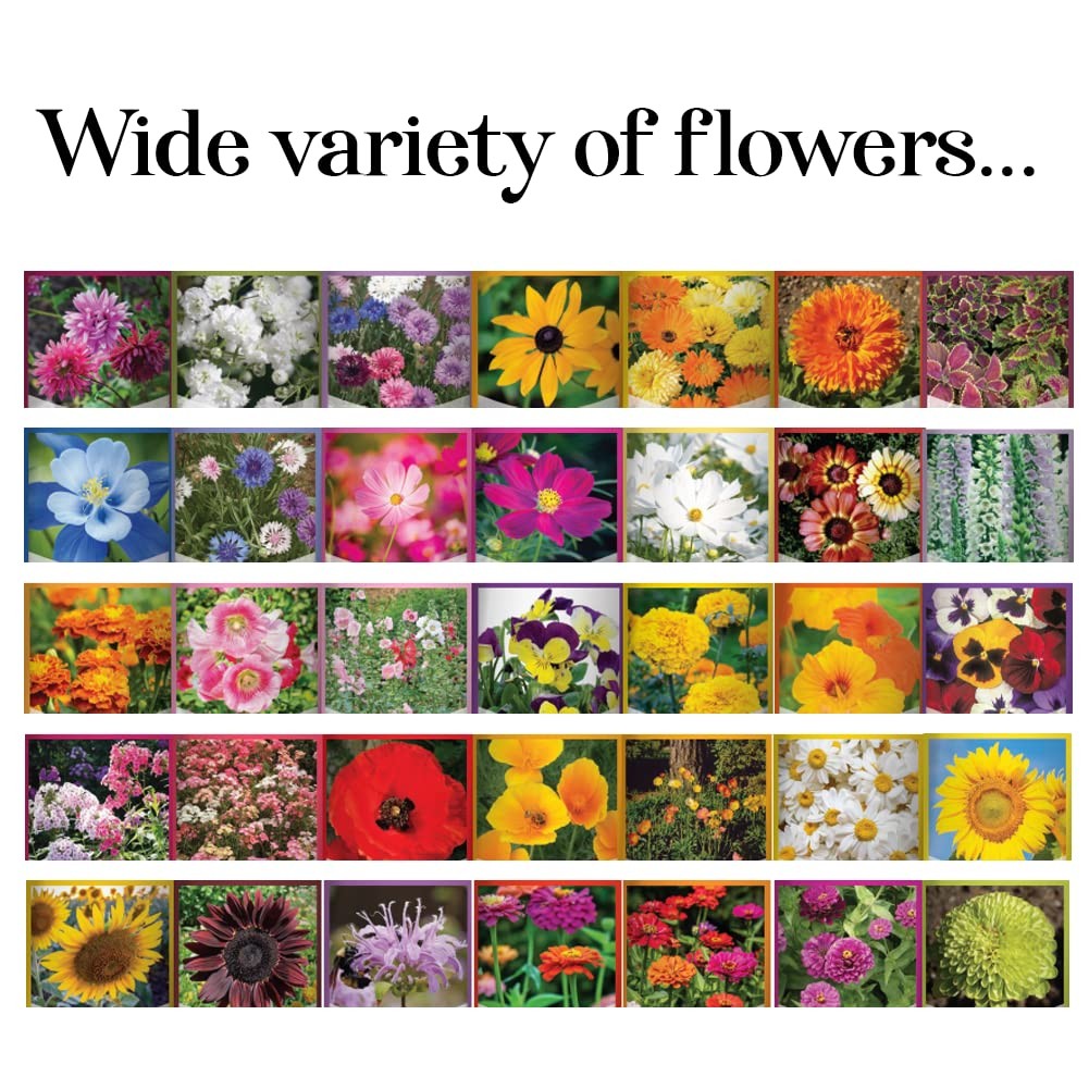 , Flower Seeds Packets for Planting 35 Individual Varieties Perennial, Annual…