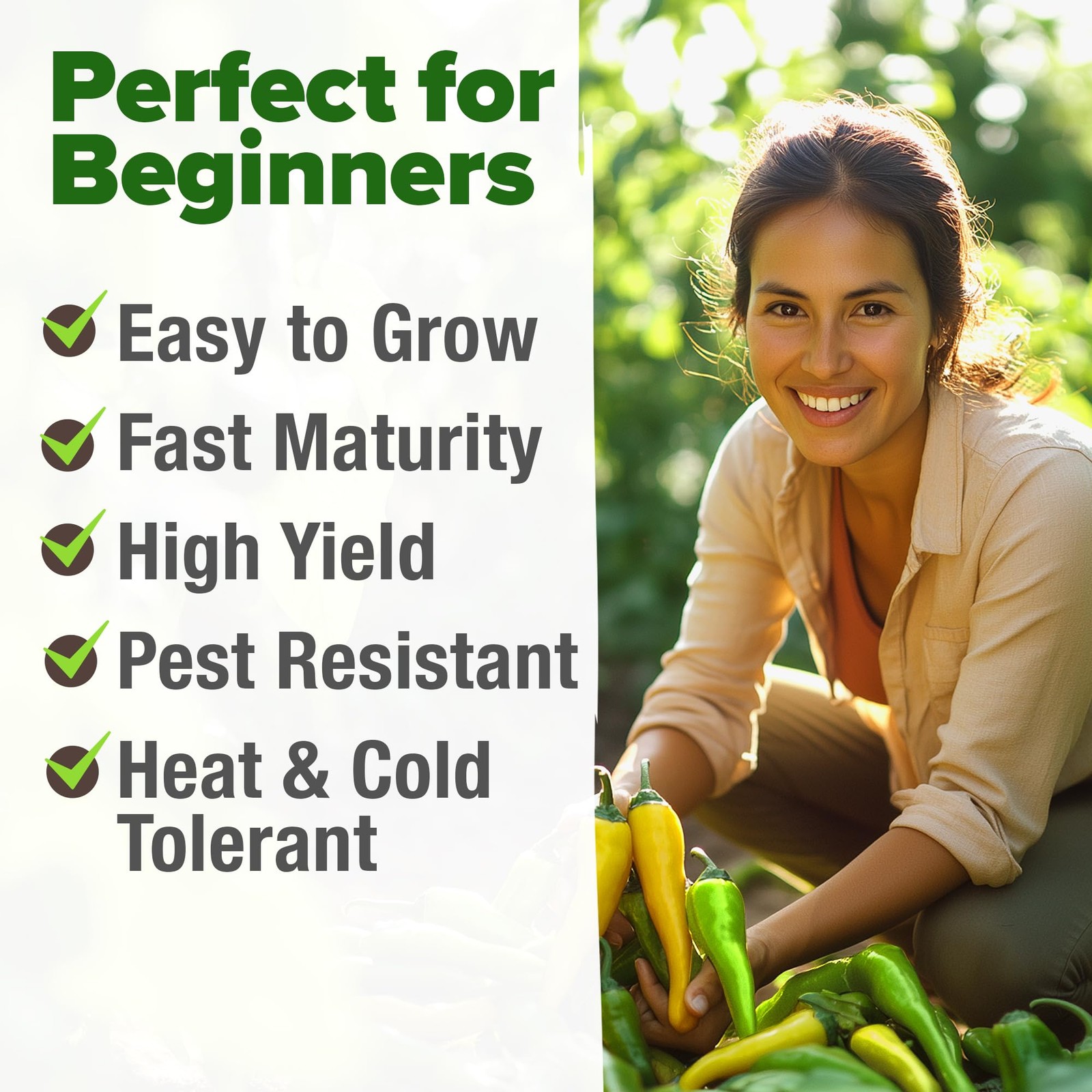 Banana Pepper Seeds 94+ Heirloom Non GMO Seeds for Planting, High Germination…