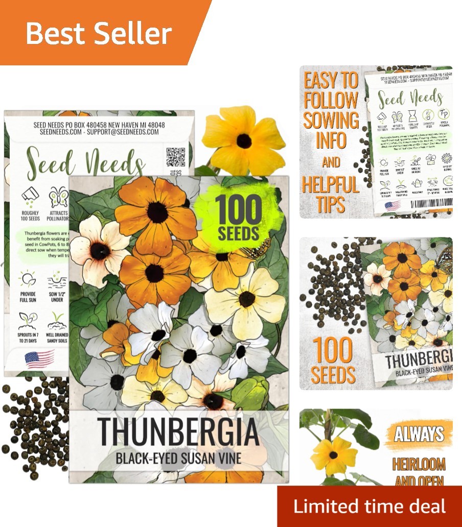 Create Natural Privacy with 100 Black-Eyed Susan Vine Seeds – Butterfly Friendly