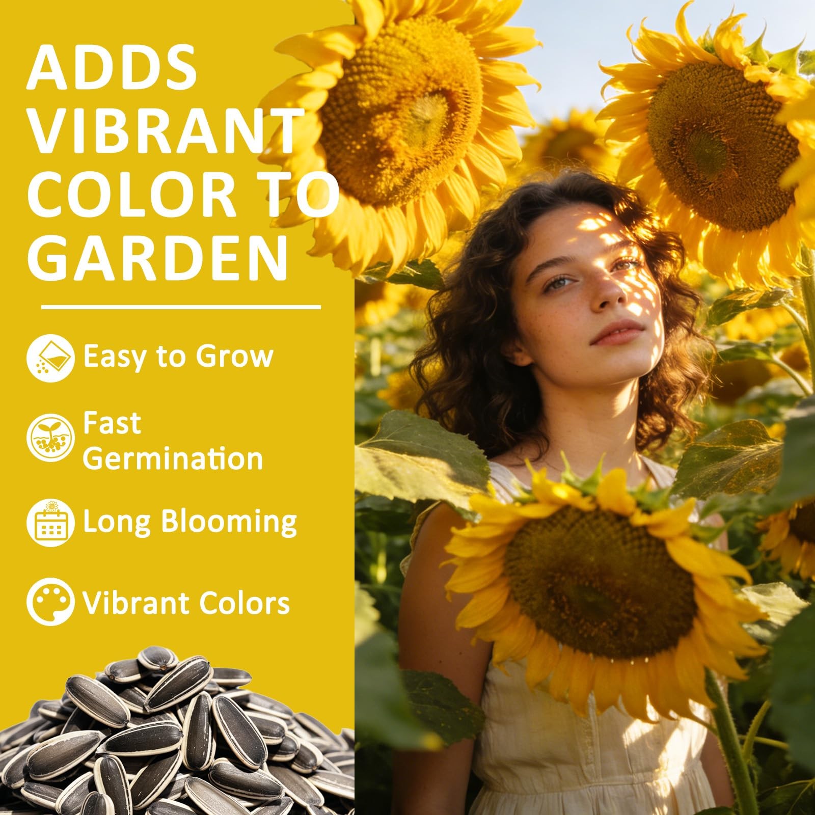 220+ Sunflower Seeds for Planting – Giant MAMMOTH SUNFLOWER SEEDS, YELLOW