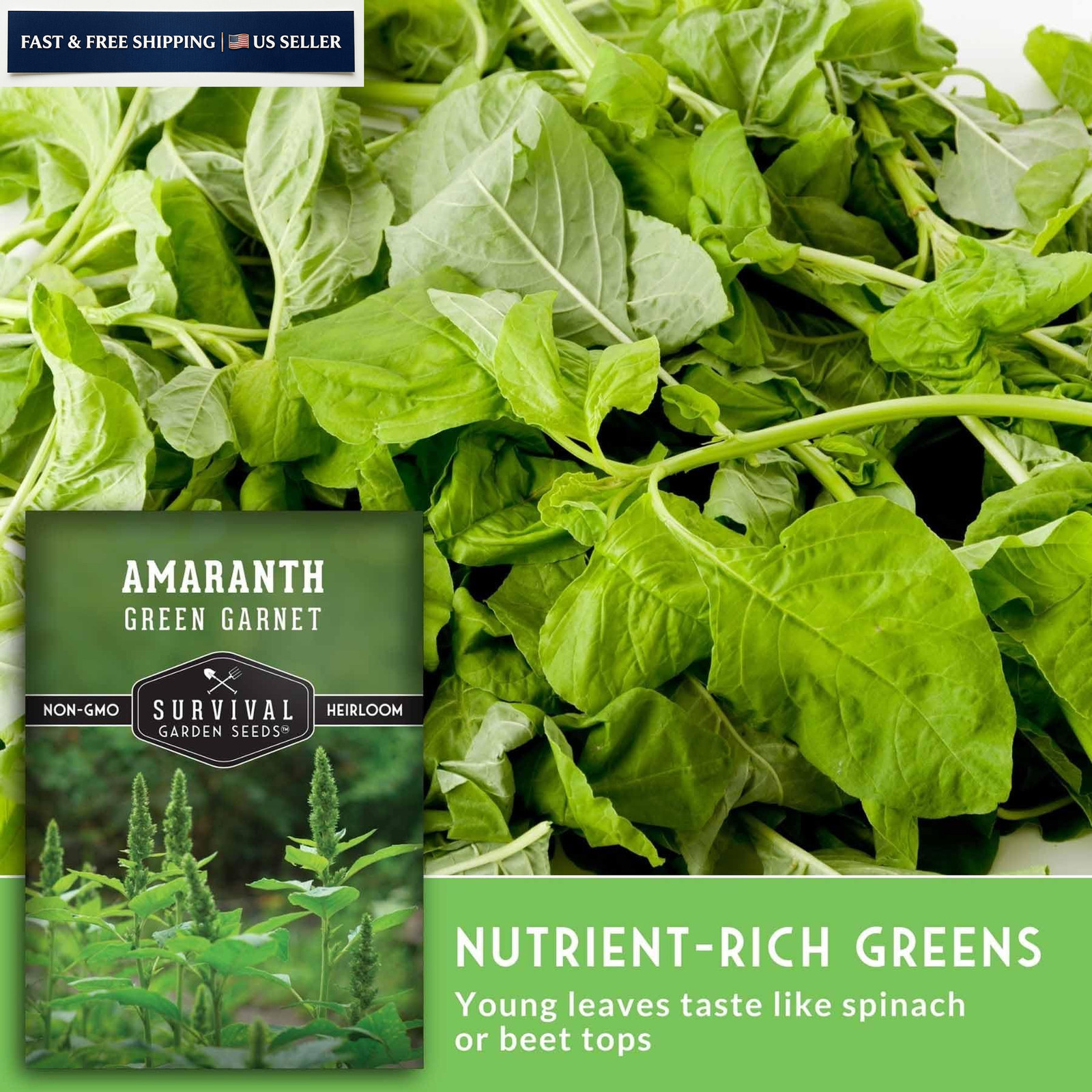 Green Garnet Amaranth Seeds for Planting – Callaloo Leafy Greens green, red