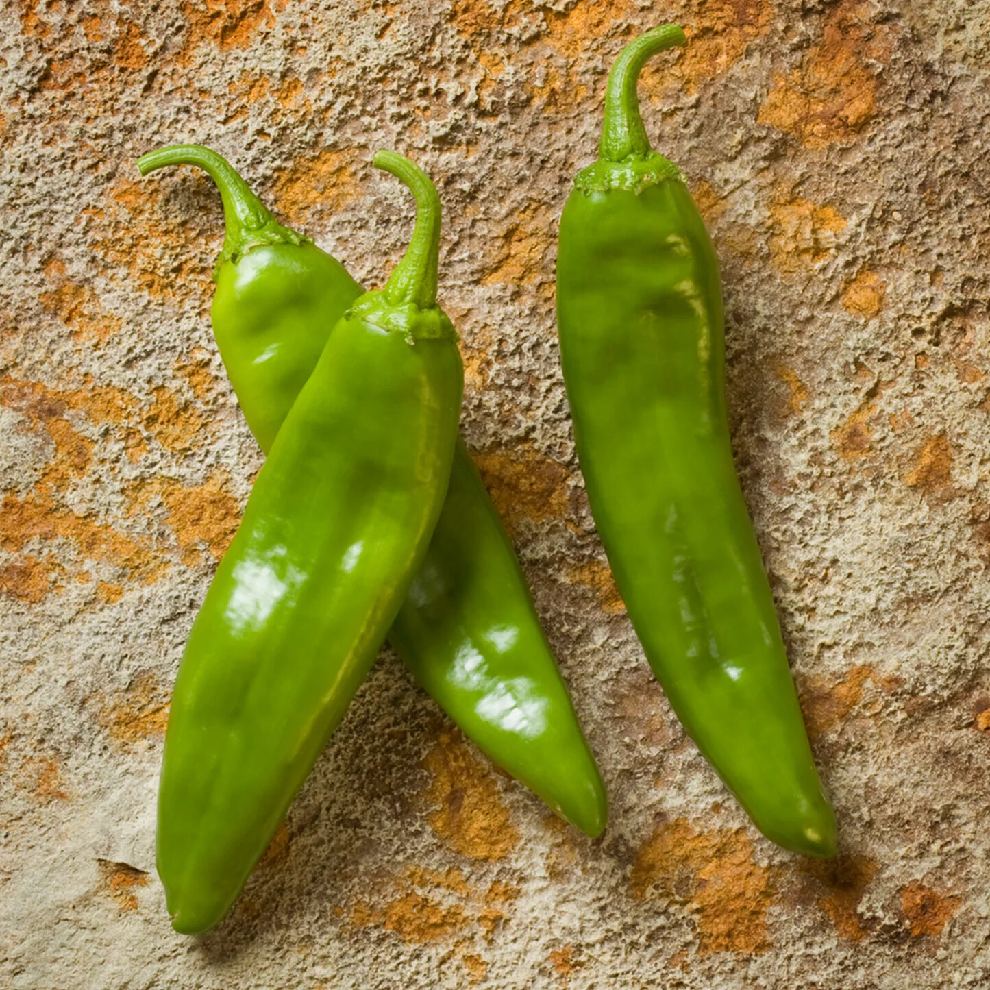 NM 6-4 Heritage Chili Pepper Seeds, NuMex, Mild Green Chile, Ristra, FREE SHIP