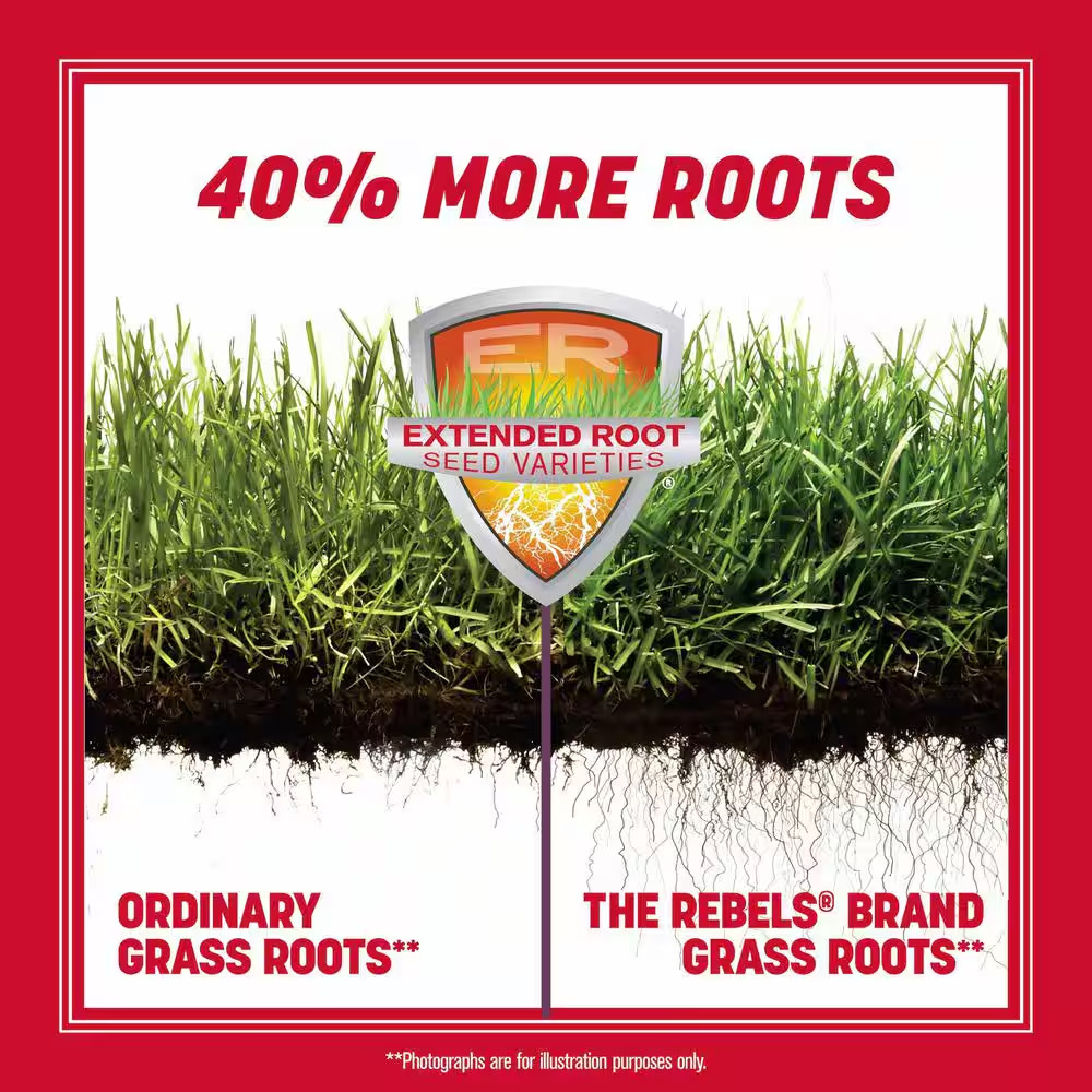 The Rebels 40 Lb. 10,000 Sq. Ft. Tall Fescue Grass Seed Blend