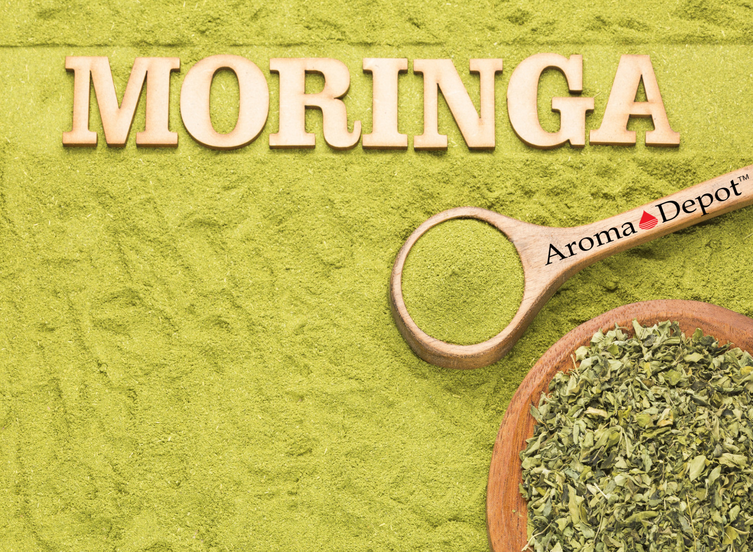 Moringa KERNELS 1 oz. Seeds oleifera Shelled 125 Semilla De Moringa Wholesale