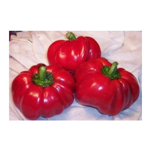 Pepper Sweet Pimento Great Heirloom Vegetable By Seed Kingdom 200 Seeds