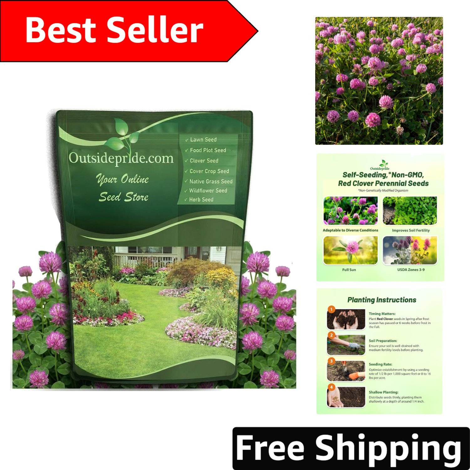 10 lbs Nitrocoated Red Clover Seeds – Self-Seeding for Soil Improvement & Forage
