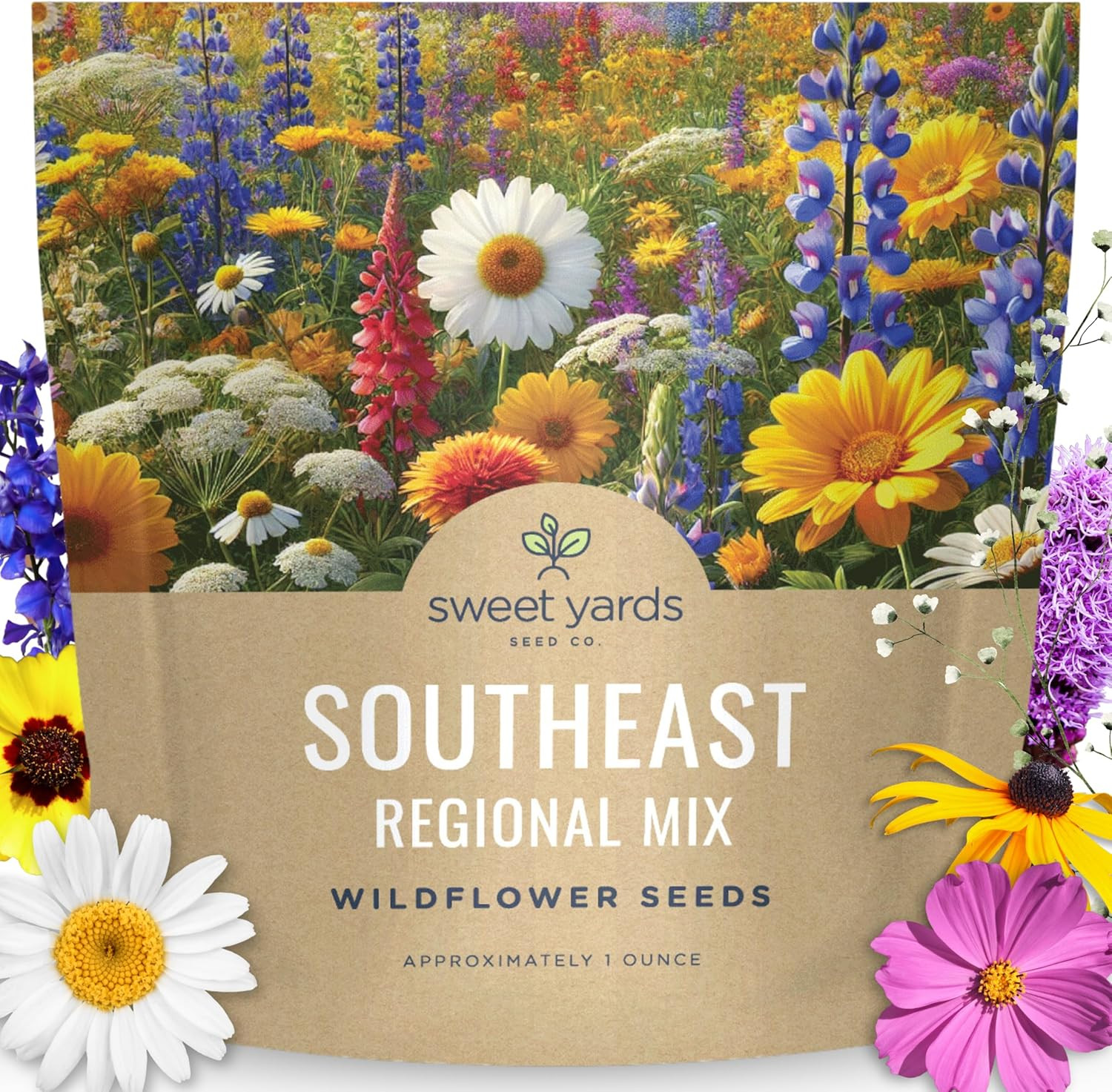 Southeast Regional Mix – Large 1 Ounce Packet – 12,000 Flower Seeds for Planting