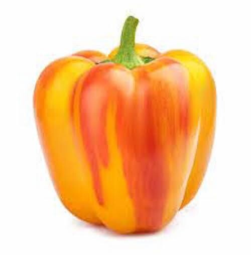 Sunset Aloha Pepper, Big Red, Yellow, Lilac, Orange Bell Pepper Seeds, 2024