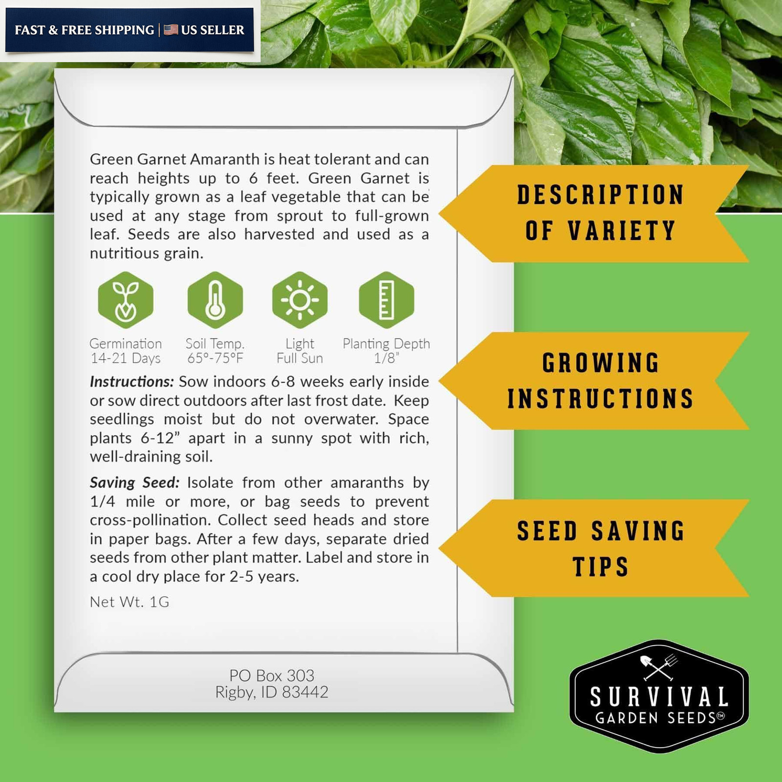 Green Garnet Amaranth Seeds for Planting – Callaloo Leafy Greens green, red