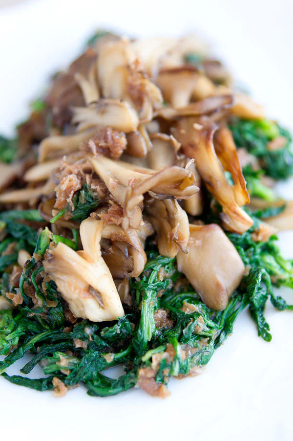 Garland Chrysanthemum Greens Seeds | Edible Tong Hao 茼蒿菜 Shungiku シュンギク Ssukat 쑥