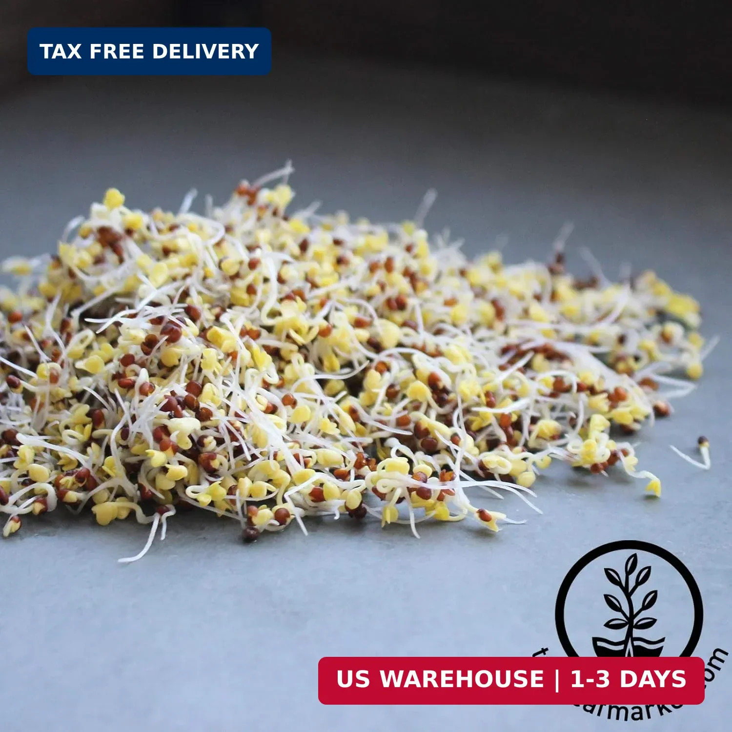 Organic Broccoli Sprouting Seeds By Handy Pantry | 8 oz. Resealable Bag | Non-GM