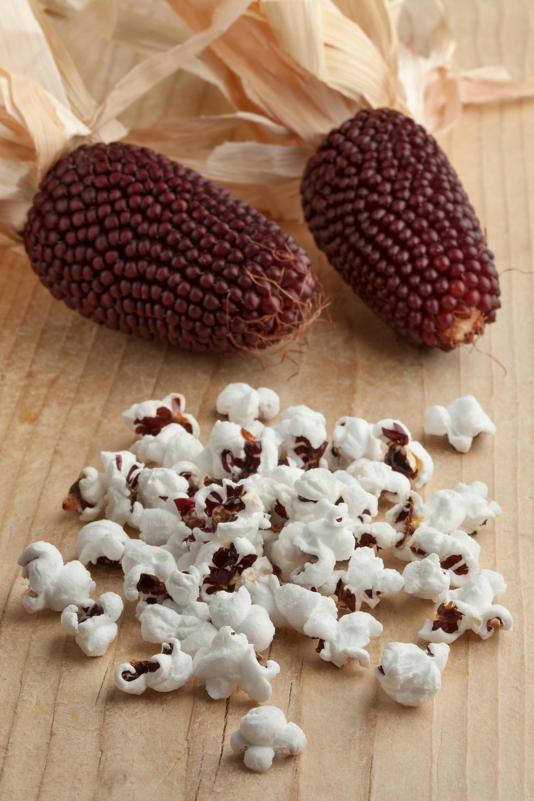 Smoke Camp Crafts Red Strawberry Popcorn Seeds (Zea mays), 200 seeds (16 grams)