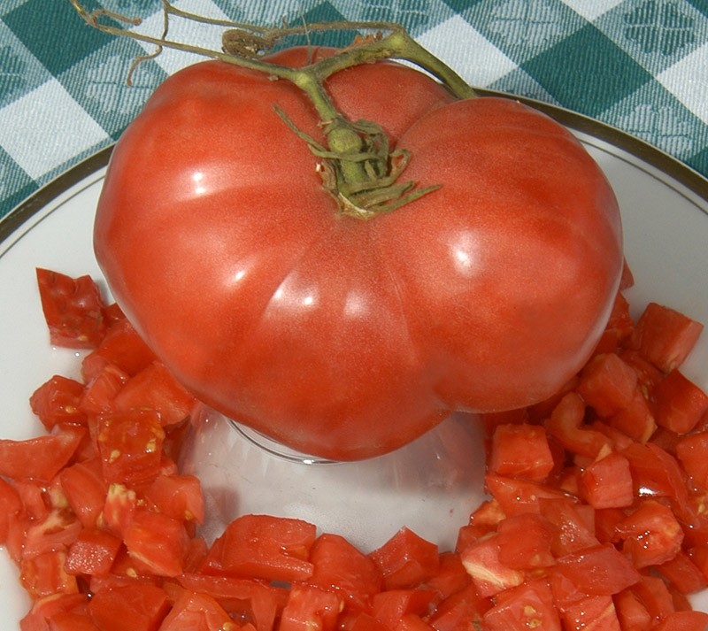 Ponderosa tomato seeds non-gmo heirloom open pollinated