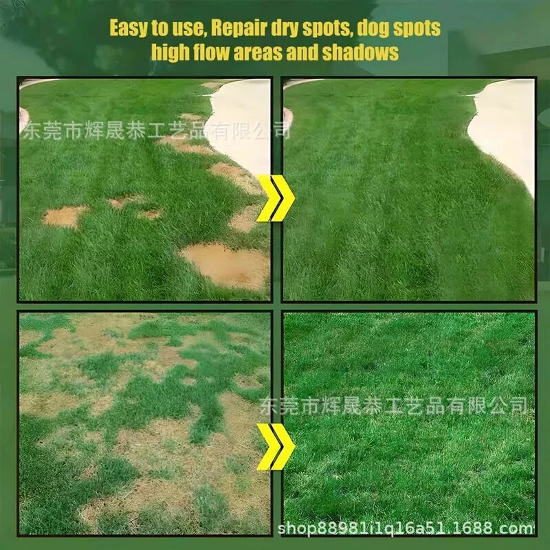 Garden Evergreen Dwarf Grass Seed Grass Seed for Growth-Boosting Lawn Seeding
