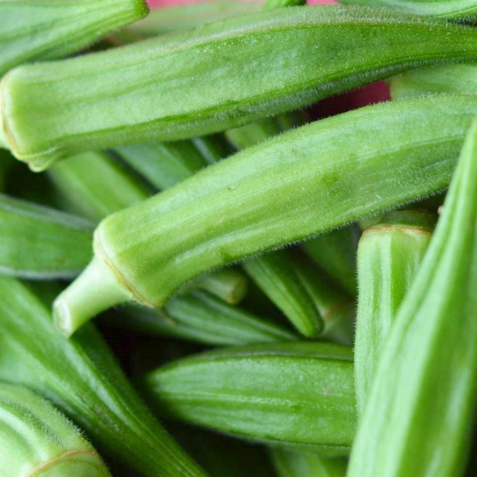 Okra Perkins Long Pod Seeds 30 Ct Vegetable NON-GMO HEIRLOOM USA FREE SHIPPING