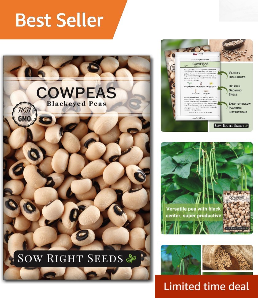 Non-GMO Heirloom Black Eyed Cowpea Seeds – High Germination & Flavor