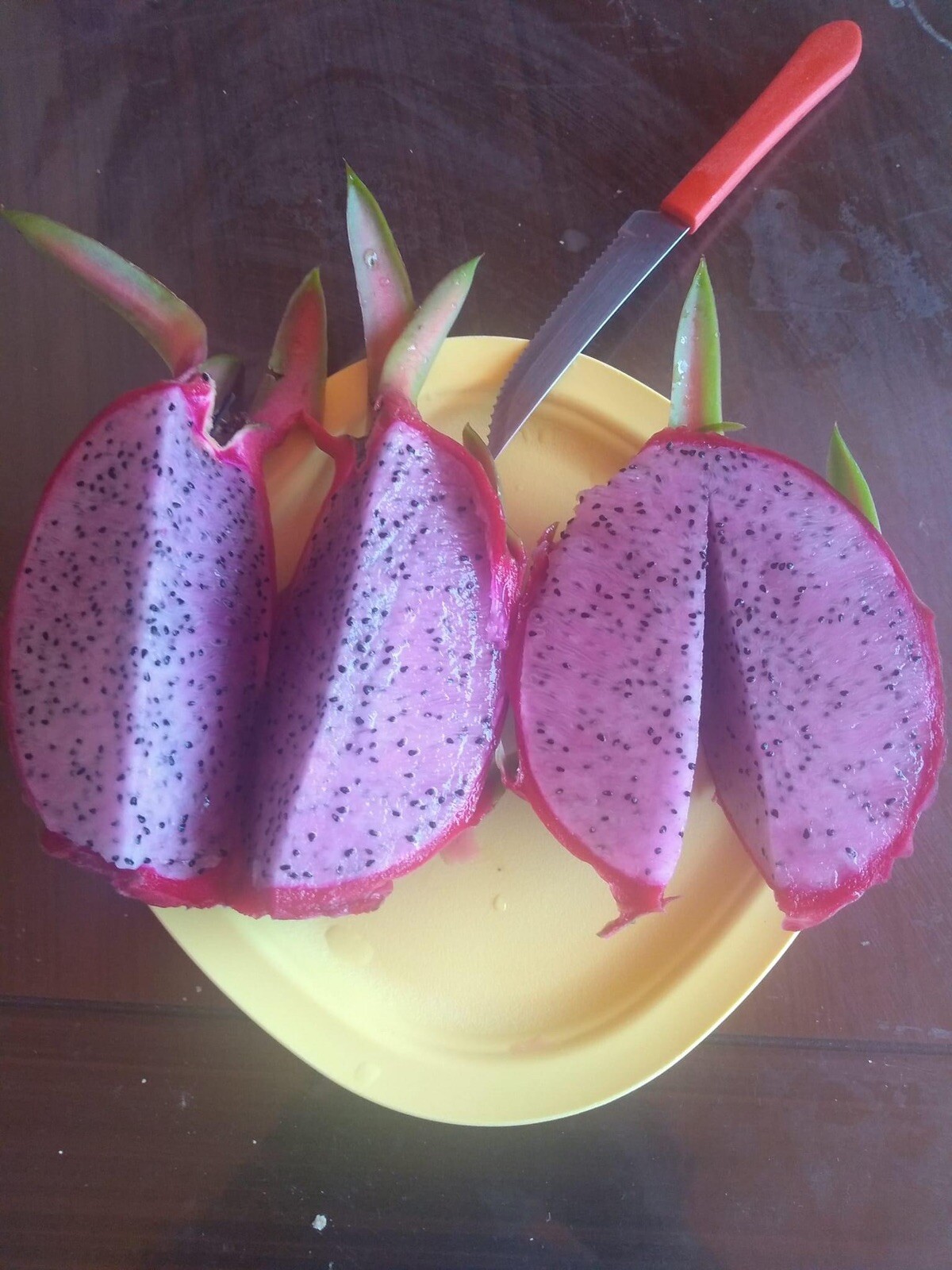 5 Rare DRAGON FRUIT CUTTING 8-12 Inches Check Description