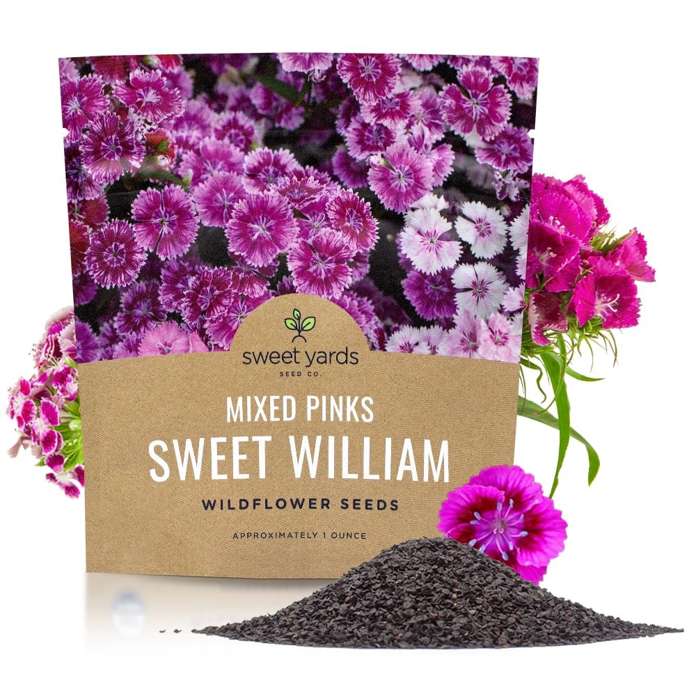 Sweet William Seeds – 1 Ounce Pouch, Shades of white, pink, purple and red