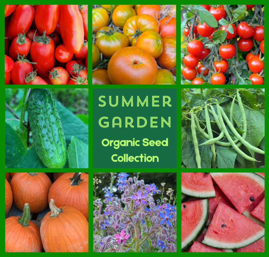 SUMMER SURVIVAL GARDEN ⭐ Homestead Collection ⭐ 18 Heirloom Herb & Veggie Seeds