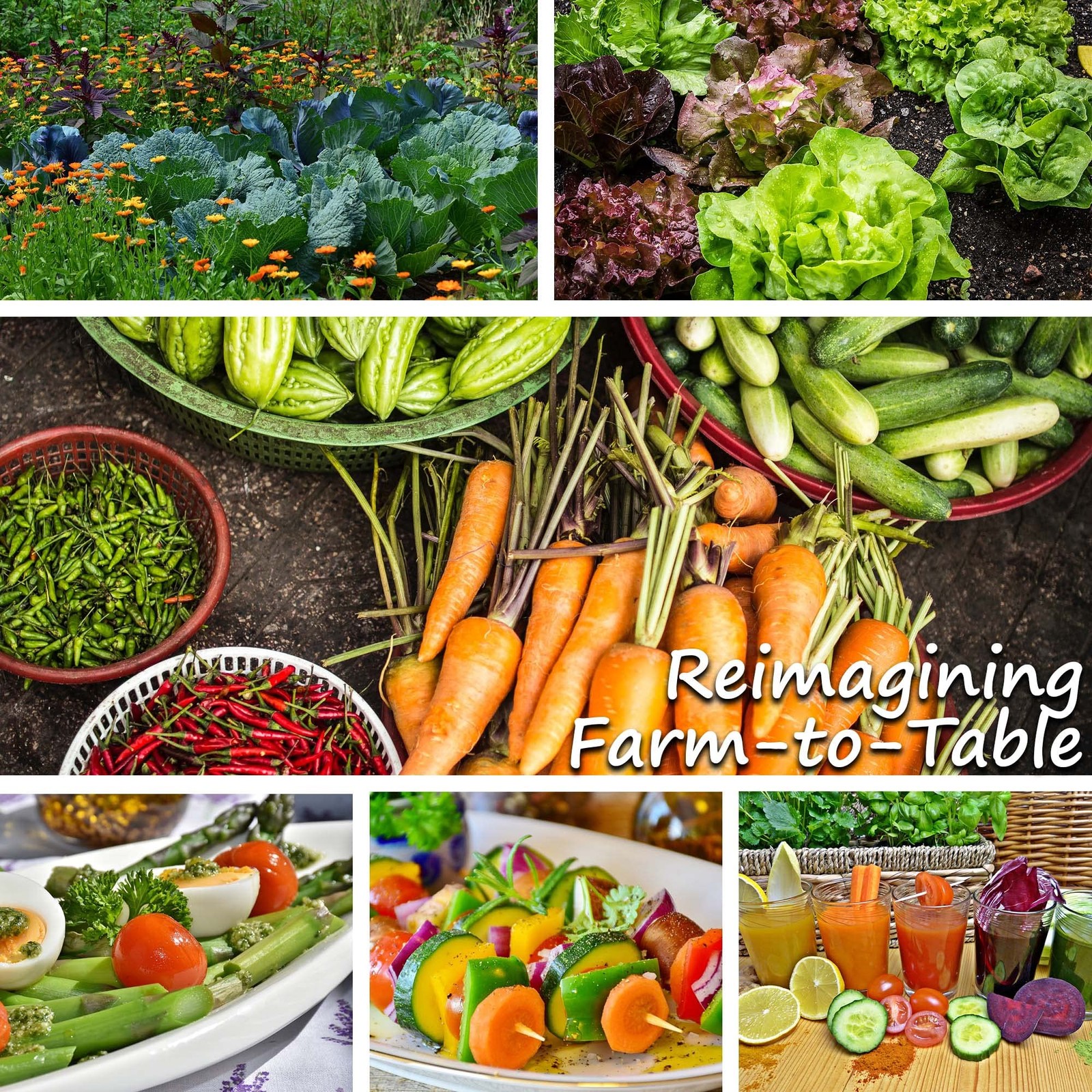 Mountain Valley Seed Company Vegetable Garden Can 50000 Seeds 16 Varieties For
