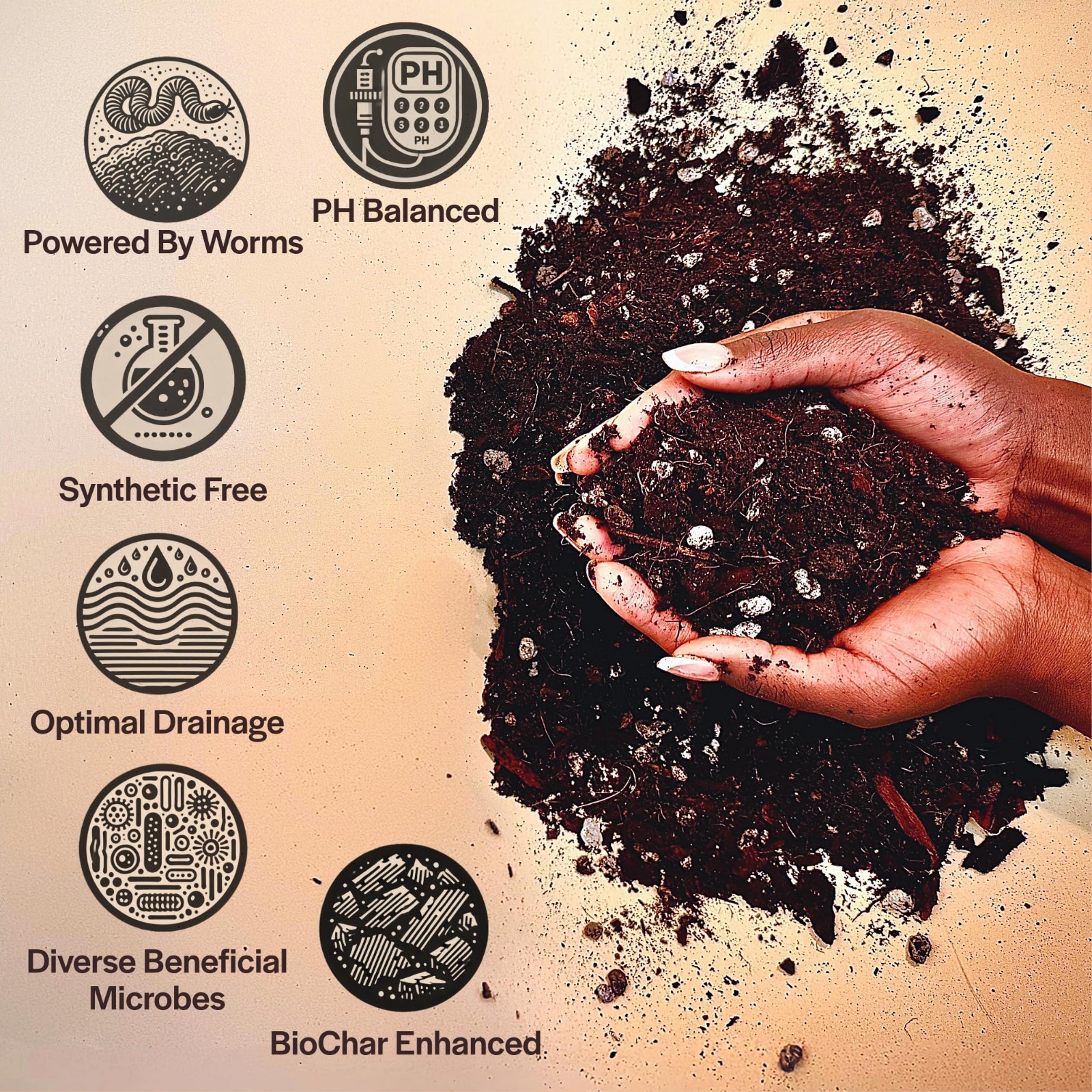 Organic Potting Mix for Indoor Plants – Chunky Well-Draining Soil for Alocasia,