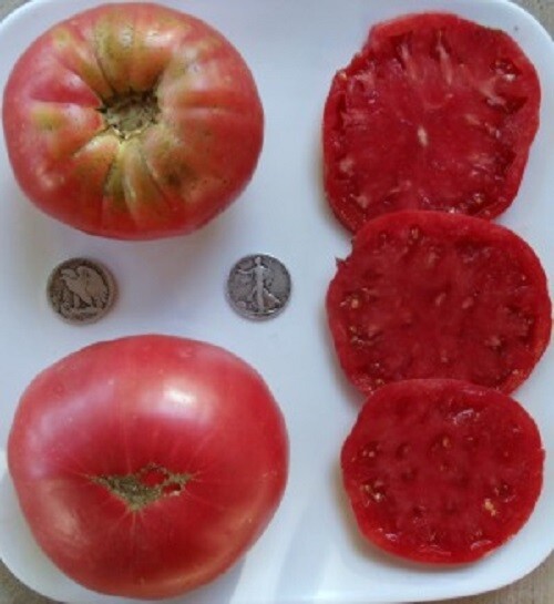 Rose – Huge Pink Heirloom Beefsteak – Delicious – 25 Seeds – Fresh From 2023