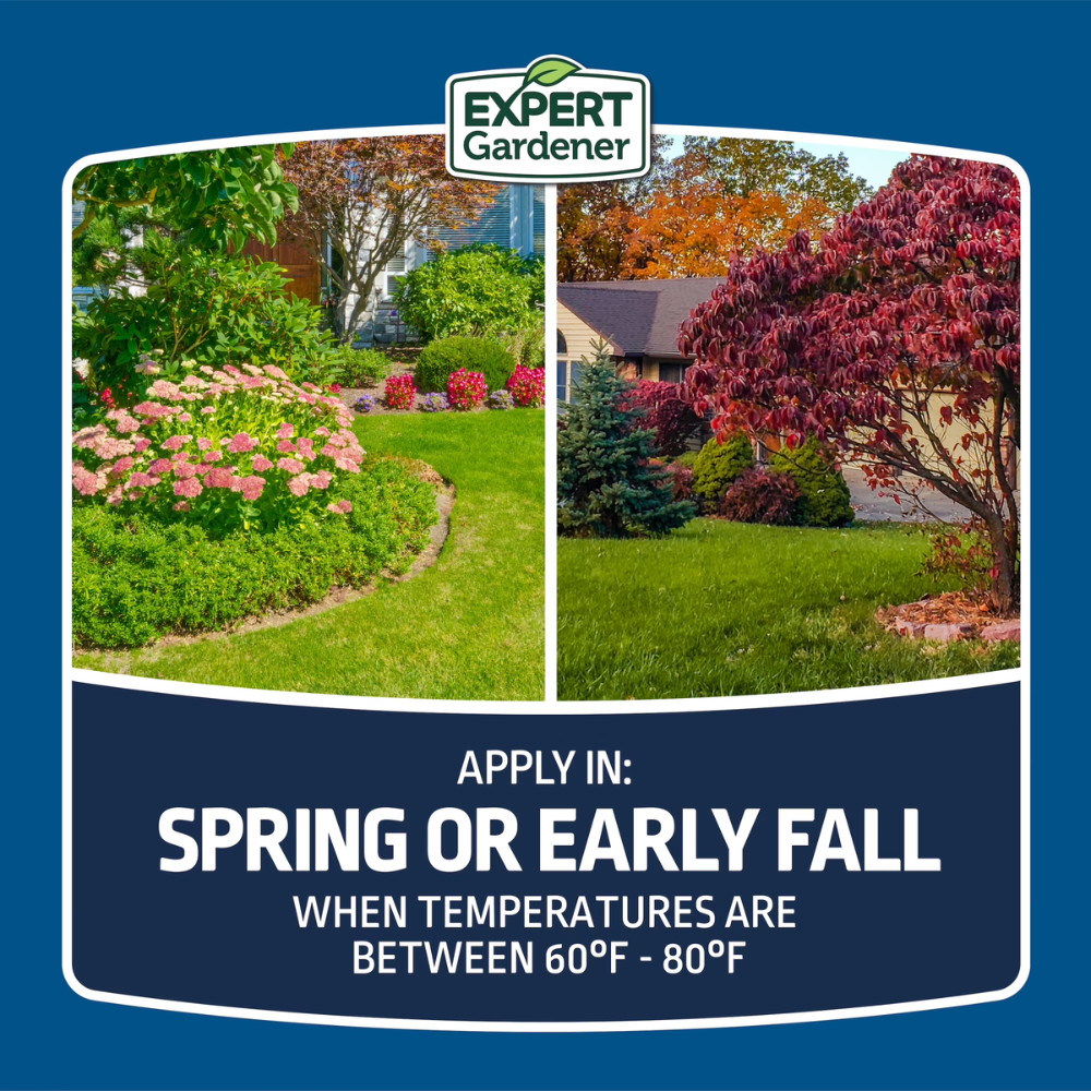 Expert Gardener Northern Sun & Shade Grass Seed Mix, 20 lb Bag, Fast Growth, New