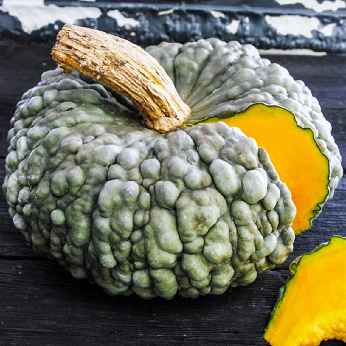 Marina Di Chioggia Squash Seeds – For 2025 Planting Italian Green Zucca Barucca
