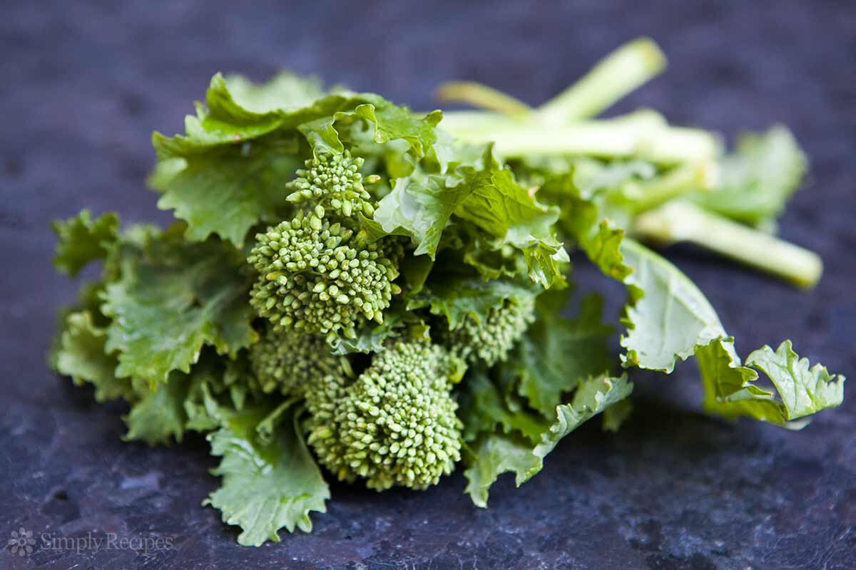 250 EARLY FALL RAPINI BROCCOLI SEEDS – FRESH HARVEST FOR GARDENS