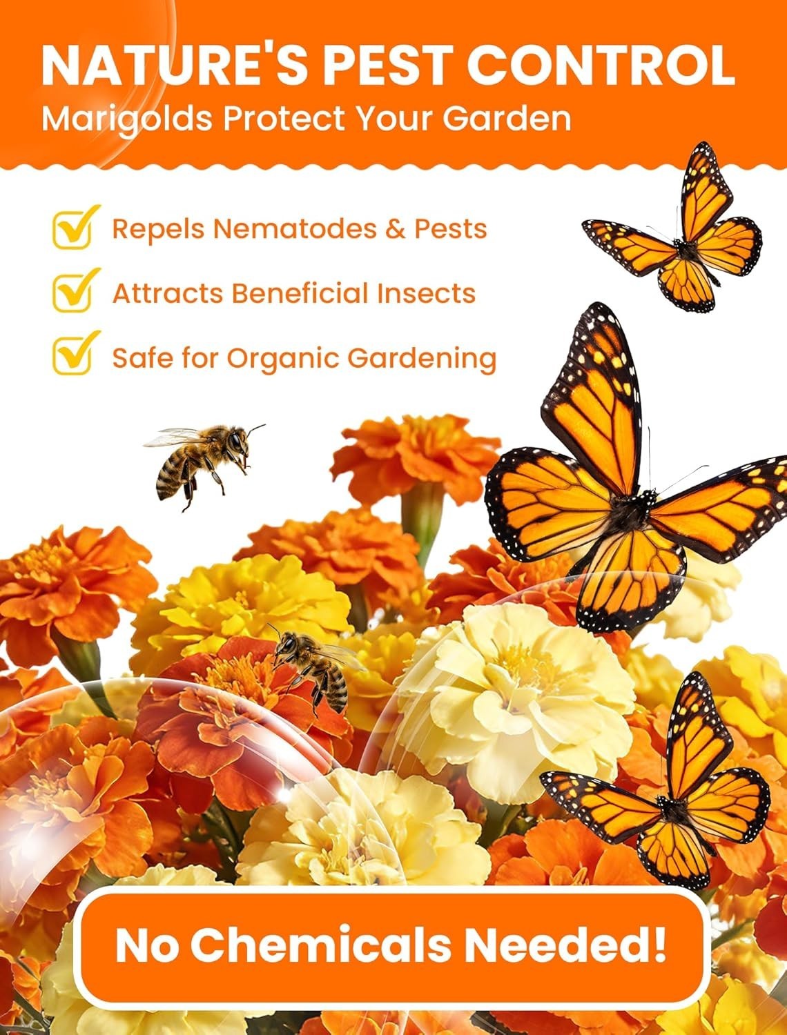 Tri-Color Marigold Seeds for Planting | 15,000+ Heirloom French Marigold Flower