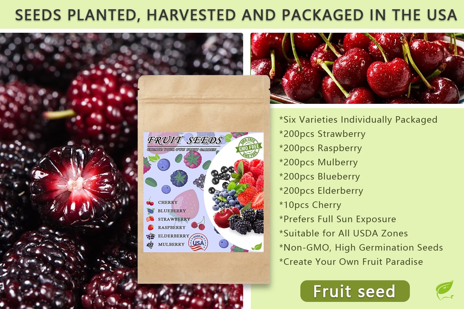 Mixed Fruit Seeds for Planting: 1100pcs Strawberry, Raspberry, Blueberry & More