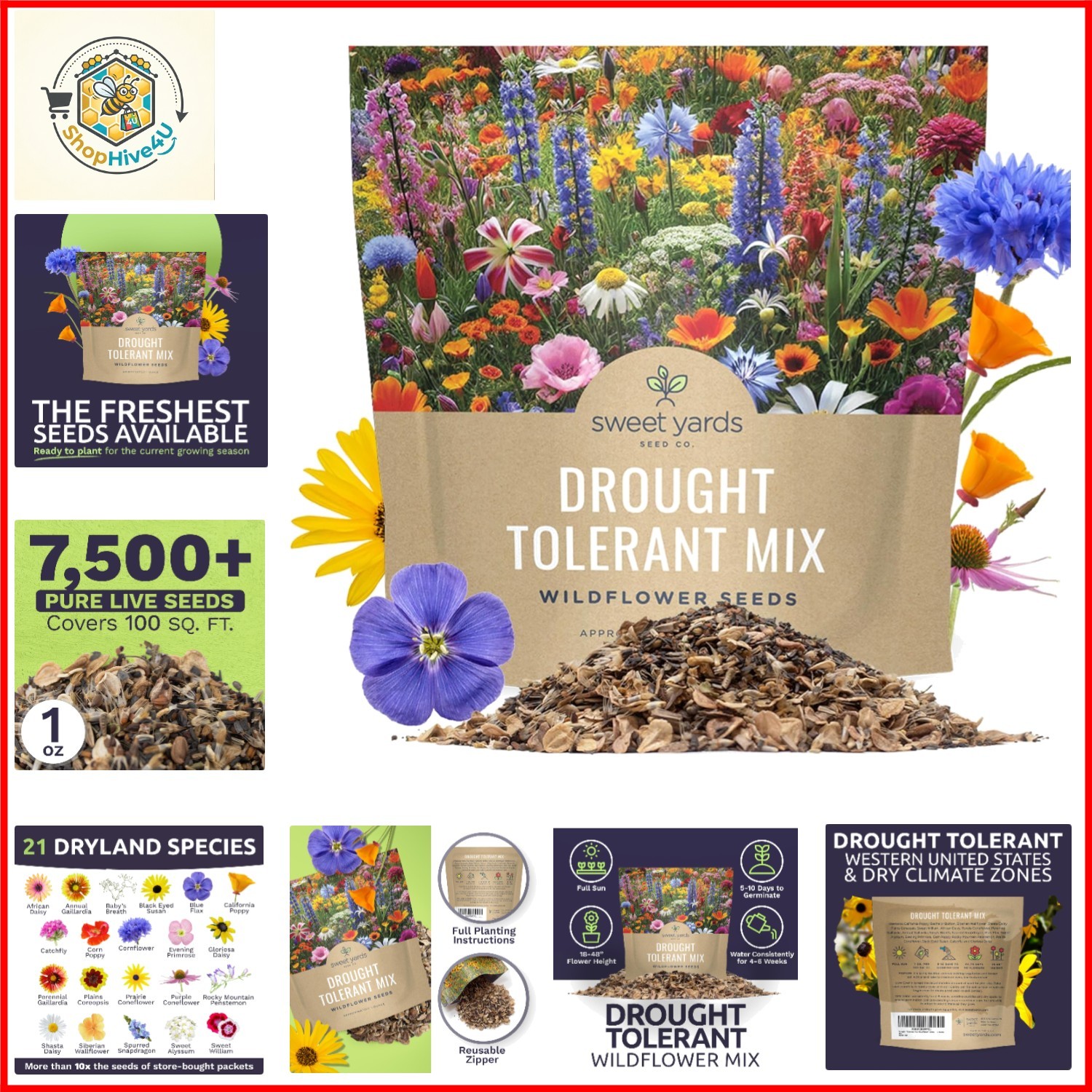 Drought Tolerant Wildflowers Mix – Extra Large Packet – Over 7,500 Open Polli…
