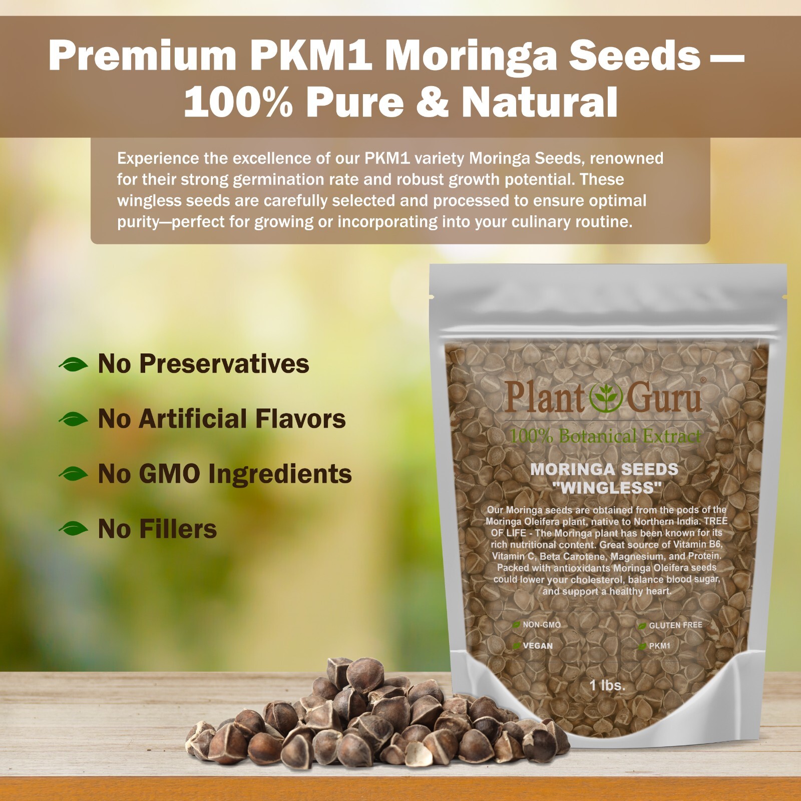 400 Moringa Oleifera Seeds 2 oz. (2 Pack) WINGLESS Fresh Semillas de Moringa