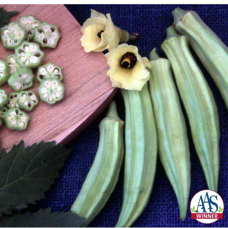 Okra CLEMSON SPINELESS 80 Heirloom Edible Tall AAS Winner USA Non-GMO 60 Seeds!