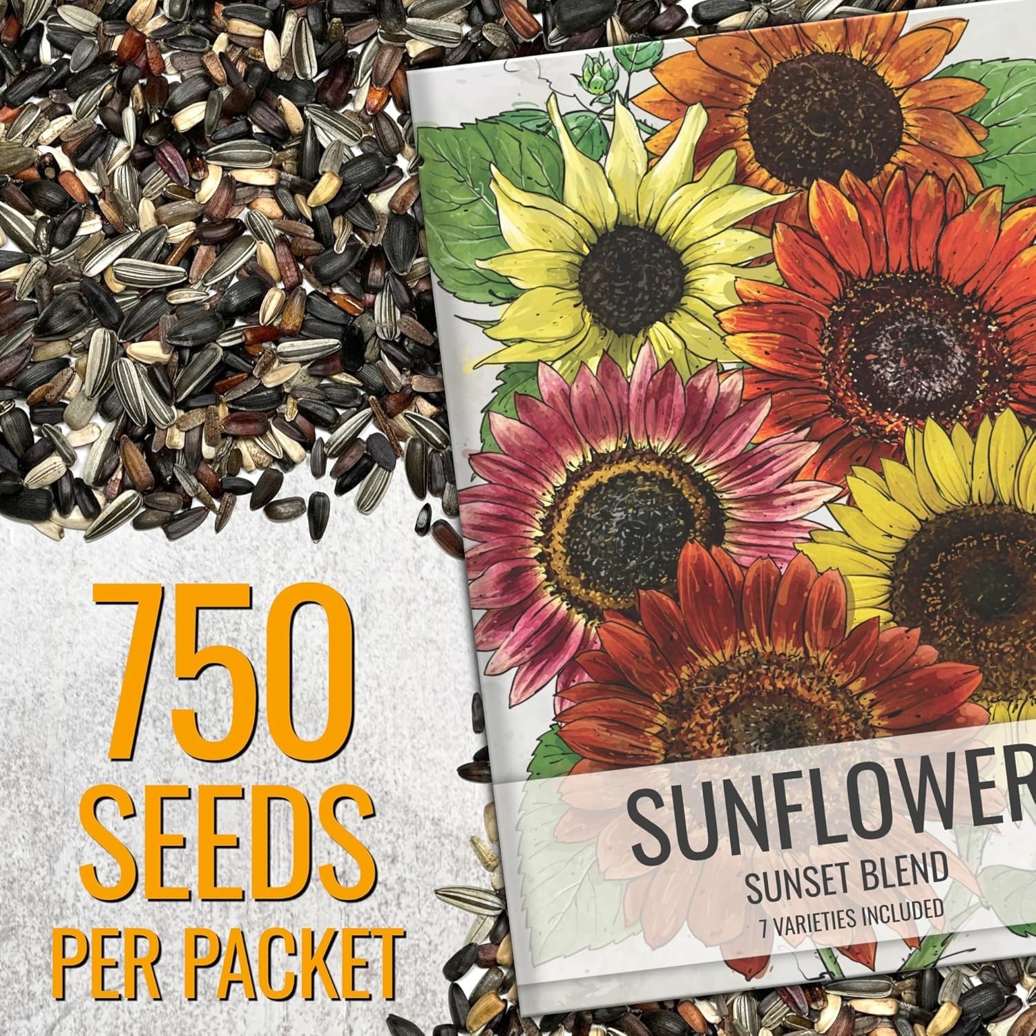 Sunflower Seeds to Plant Sunset Blend 7 Varieties Mix | 750+ Seeds Helianthus…