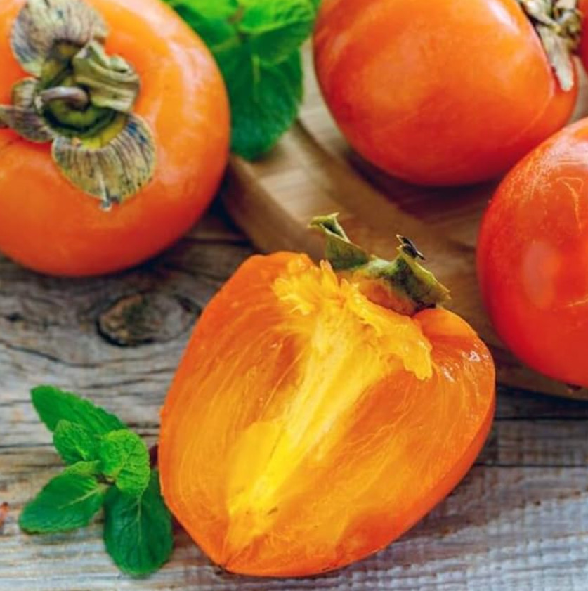 2 American Persimmon Tree – Live Plant in Quart Pot (6–12″ Tall)