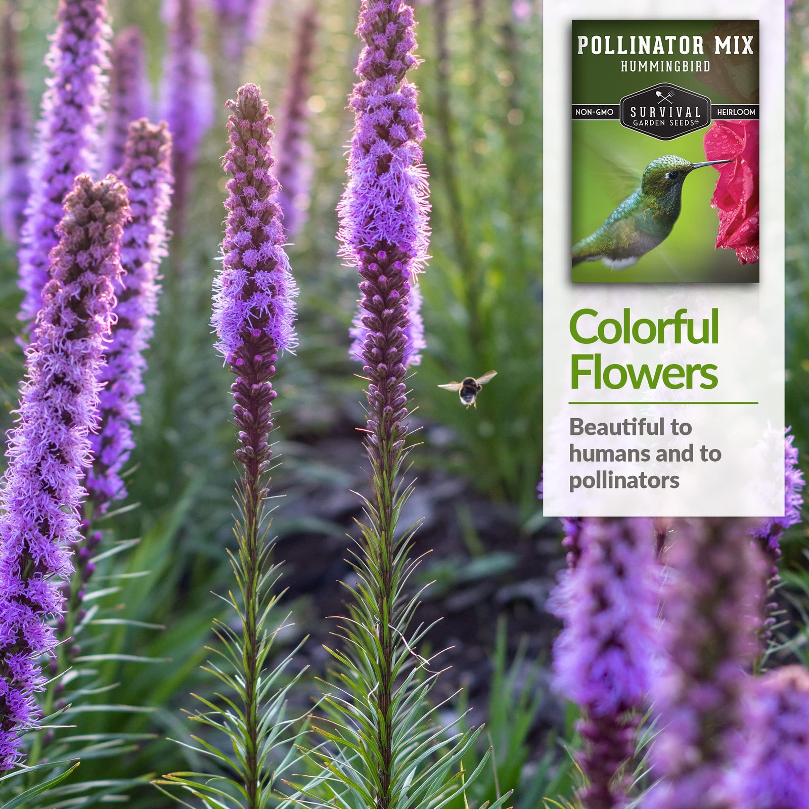 Hummingbird Flower Seeds for Planting – (1 Pack)