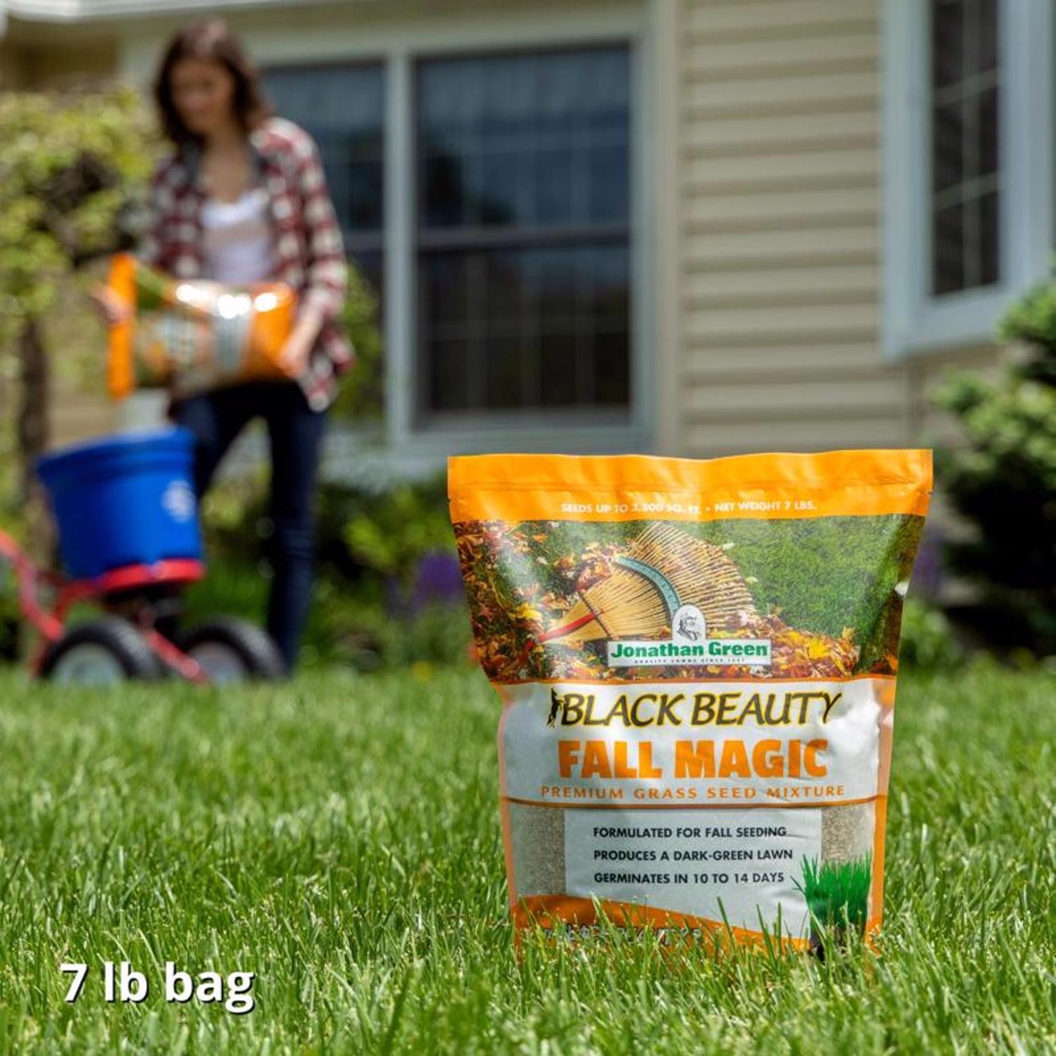 Jonathan Green Black Beauty All Grasses Sun or Shade Grass Seed Mixture 7 lb