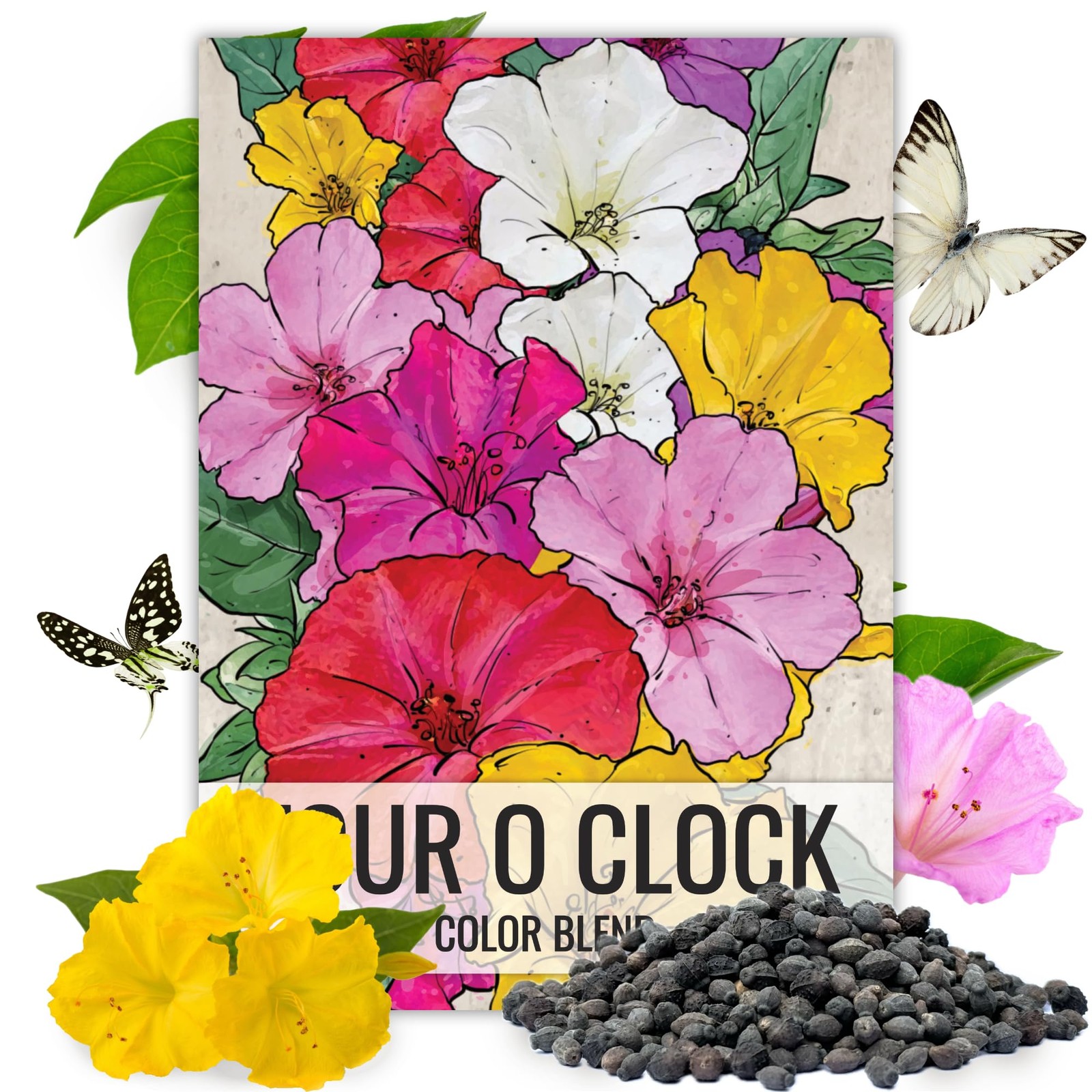 Mixed Color Four O’Clock Seeds | 300+ Heirloom Annual Flower Seeds