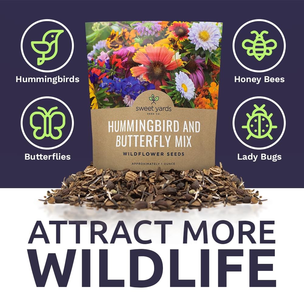 Wildflower Seeds Butterfly and Humming Bird Mix – Large 1 Ounce Packet 7,500+…