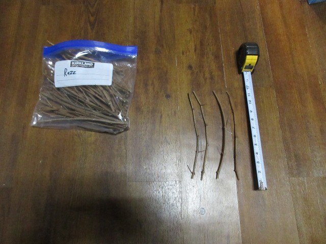 4x Razzmatazz Grape Fresh 2026 Dormant Vine Cutting Scion 8-12″ for Rooting