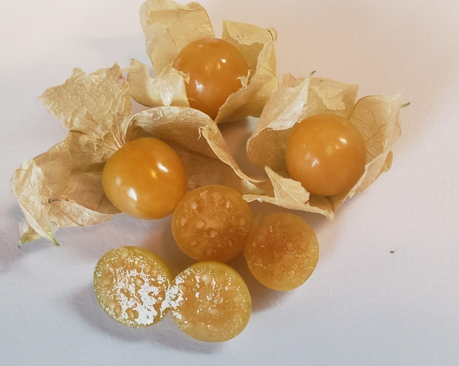 Pineapple Ground Cherry (100+ Seeds) – unique and versatile!